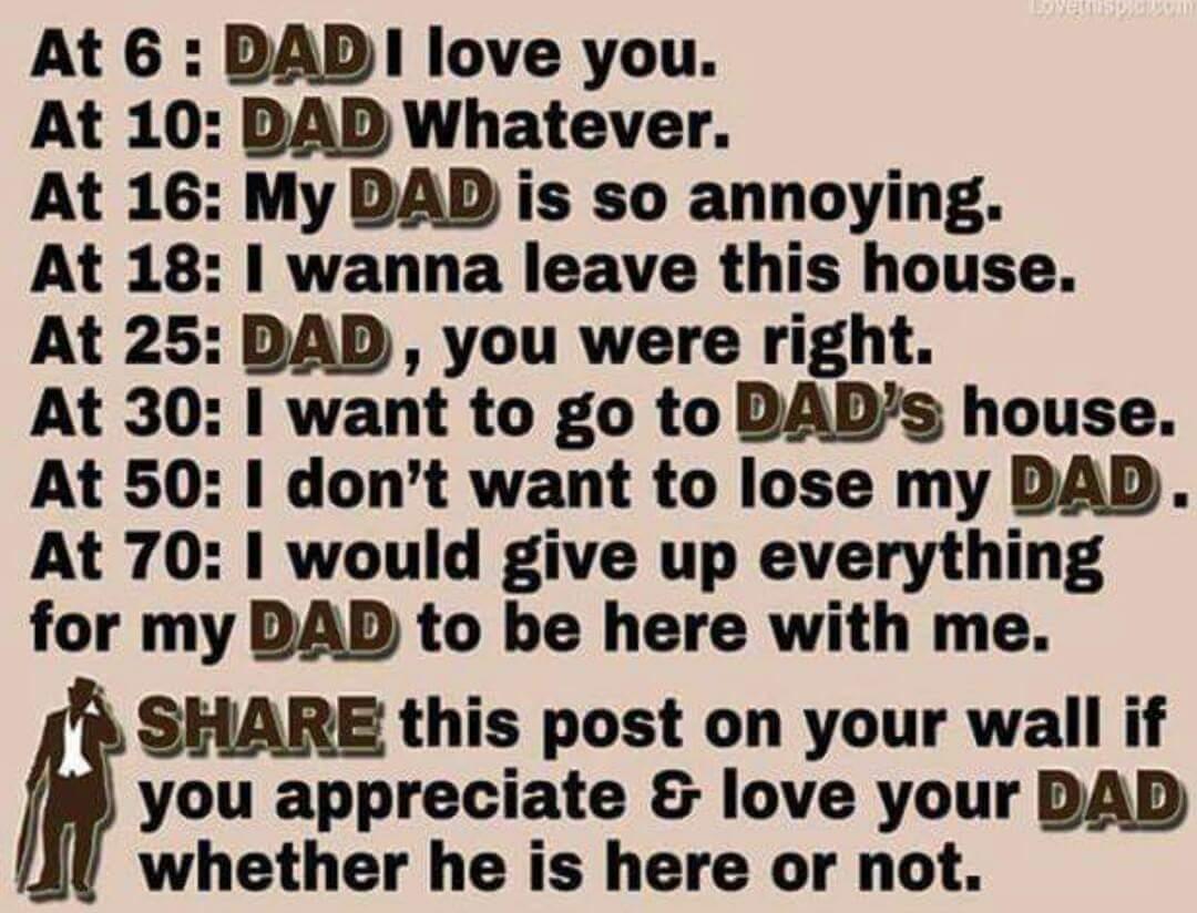 traderstewie's tweet image. Truth