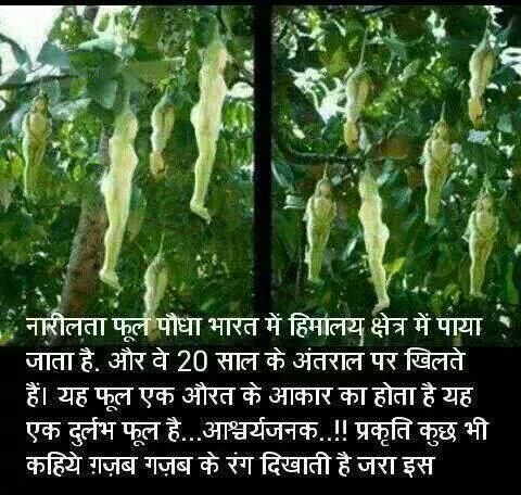 preeti16469's tweet photo. @0mukesh0 @kirthi_sweet @tullikarastogi @advockokilavani @VarmaNamrata @ngp_pradeep @jayshree363 @SomaMukherjii gm http://t.co/O6AXx3EqZi
