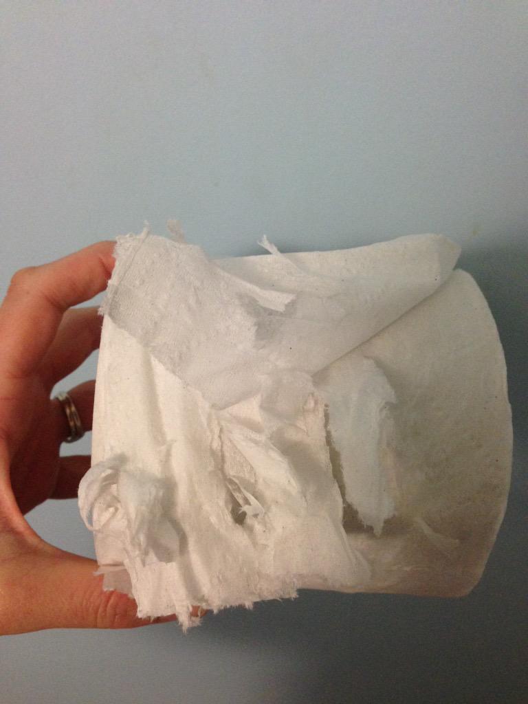 kelrigell's tweet photo. @OceanviewHall is it humanly possible to start a roll of dorm toilet paper without this happening? #TPprobz http://t.co/D731mCMZG5