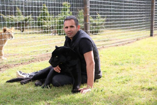 Can you imagine a story about a cat changing your destiny? It happened to Eduardo Serio.

blackjaguarwhitetiger.org