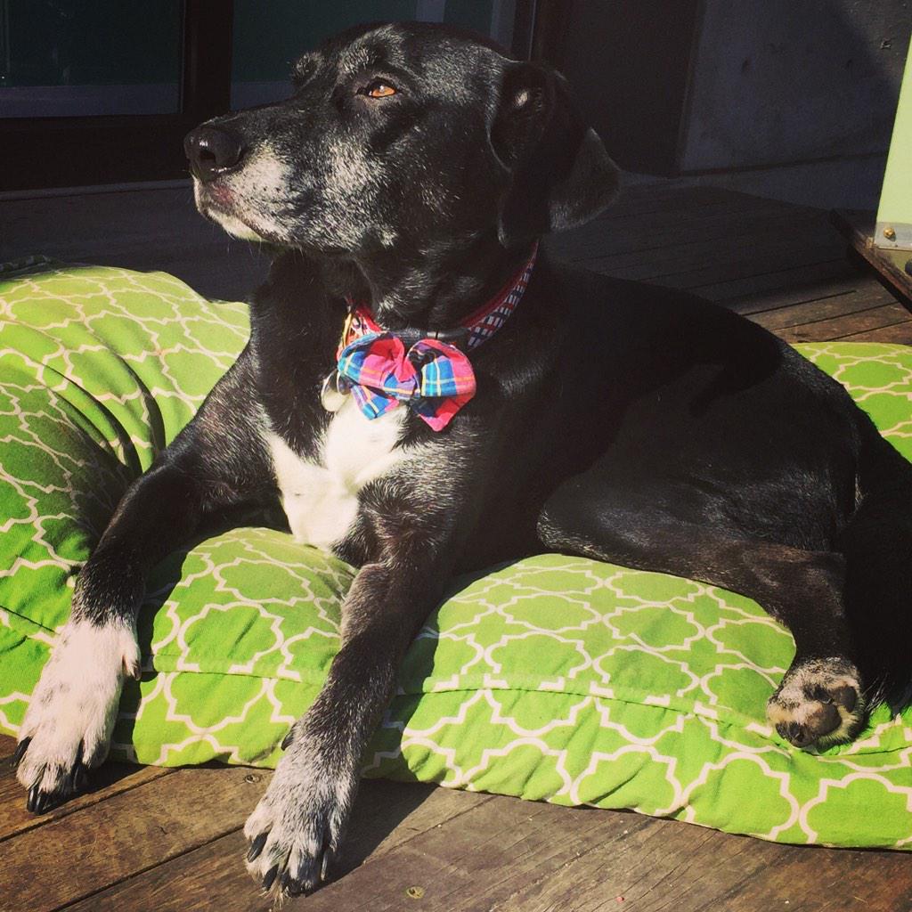 It's been awhile. This is parker.