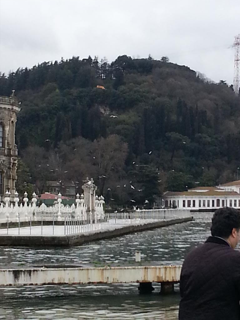 Kandilli sırtlarındaki sevda tepesinde inşaat başladı galiba <a href="/gazetesozcu/">Sözcü</a> <a href="/yurtgazetesi/">Yurt Gazetesi</a>
