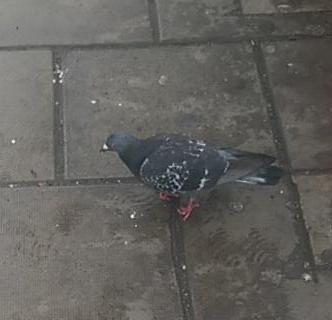 This guy is staying in Character...What will your character be on April 21st? #characterday