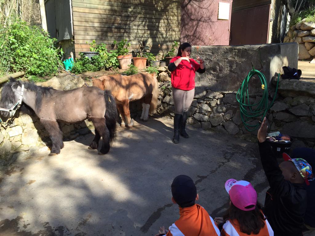 Presentación del Pony Park de la @BarcelonaECH en la Oreneta a las 11.00 con la escuela Ramon i Cajal