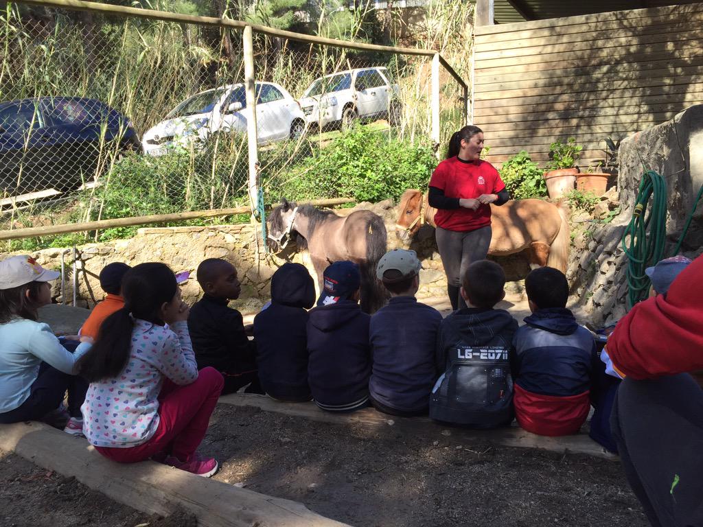 fundacionRCPB's tweet photo. Presentación del Pony Park de la @BarcelonaECH en la Oreneta a las 11.00 con la escuela Ramon i Cajal http://t.co/wsYwyydDk0