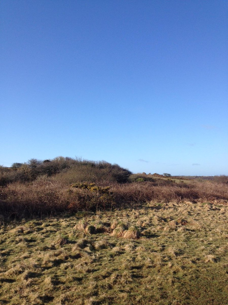 myCornwall_'s tweet photo. ☀ It's a lovely sunny Thursday in Cornwall - perfect weather for an ART tour http://t.co/IYrLg6fPTa #sharingCornwall http://t.co/TsVhDs88jQ