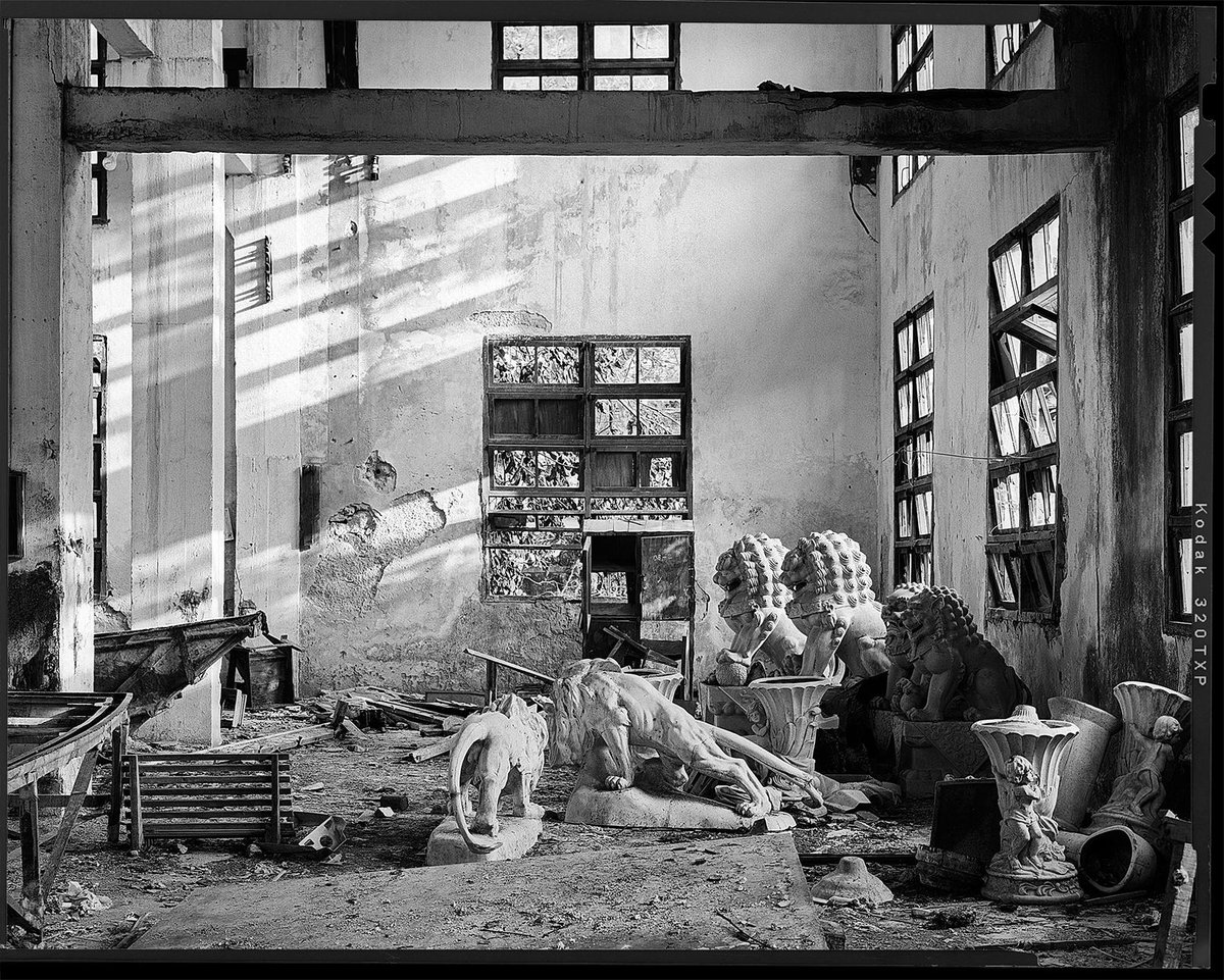 mat1215's tweet photo. #Sinar F2 #4x5 #Trix320 #kodakfilm #photography http://t.co/5yyY23Q1EH