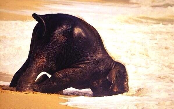 VanesaGil9's tweet photo. 'Café', que bonito nombre tienes a estas horas 💤☕️💤 http://t.co/b6F3VYXPnO
