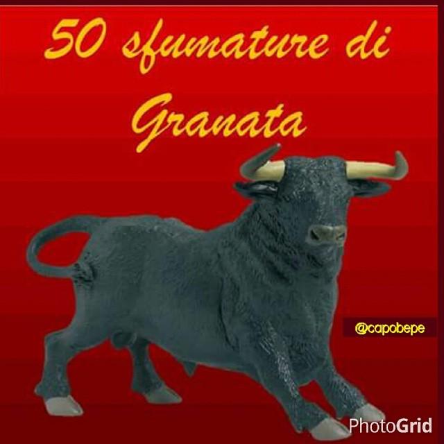 #torino #toro #torinofc #torinoègranata #granata #forzatoro #fvcg #curvamaratona #ultrasgranata  #torinoèstataerest…