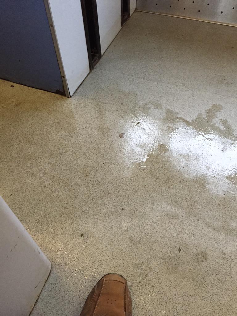 MrPercy142's tweet image. @northernrailorg oh no we have a leak!!!! And it's coming through the lighting #AmISafe? #Help #Bloody144s