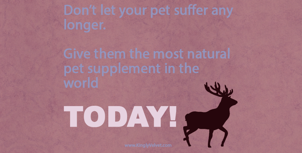 Kingly Velvet tweet media