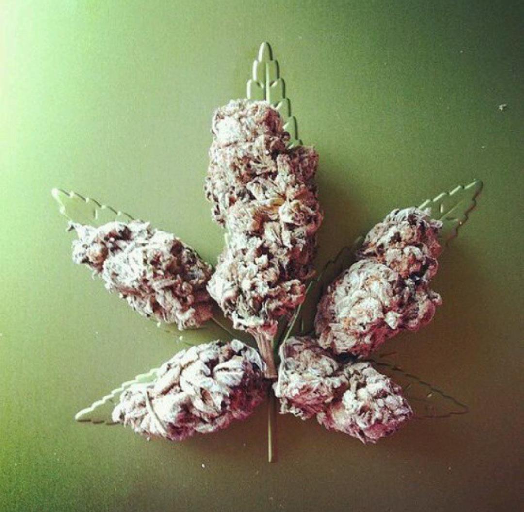 MissWeed8's tweet photo. Weednos dias😘😘 http://t.co/XDDK33os8O