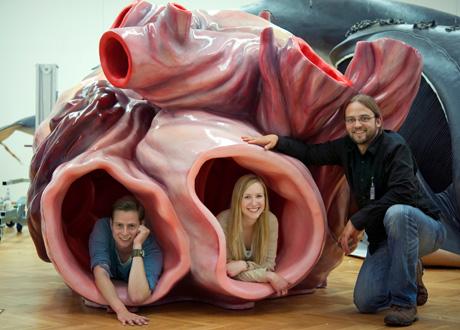 AndyMarnoch's tweet image. A blue whale's heart is the size of a VW Beetle, so big you can swim through its arteries #FactOfTheDay @UKVolkswagen