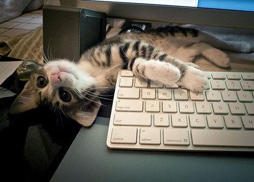 Ayratown's tweet photo. Günaydın! Biz uyanıp sizi izlemeye başladık bile! :) http://t.co/qATh8RbB9h