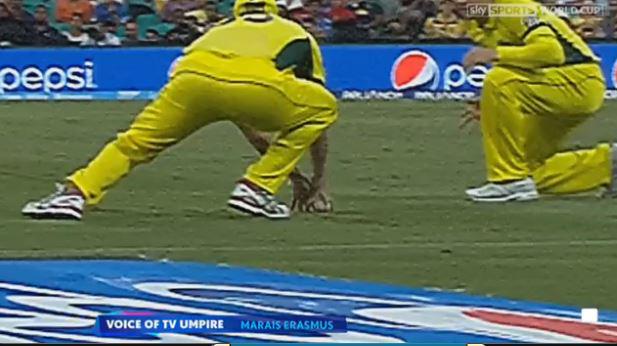 SkyCricket tweet picture