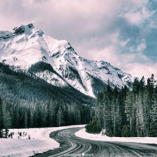 FindTransfers's tweet image. Look us up for quotes from independent transfer &amp;amp; taxi companies for your next holiday! Findtransfers.com #ttot