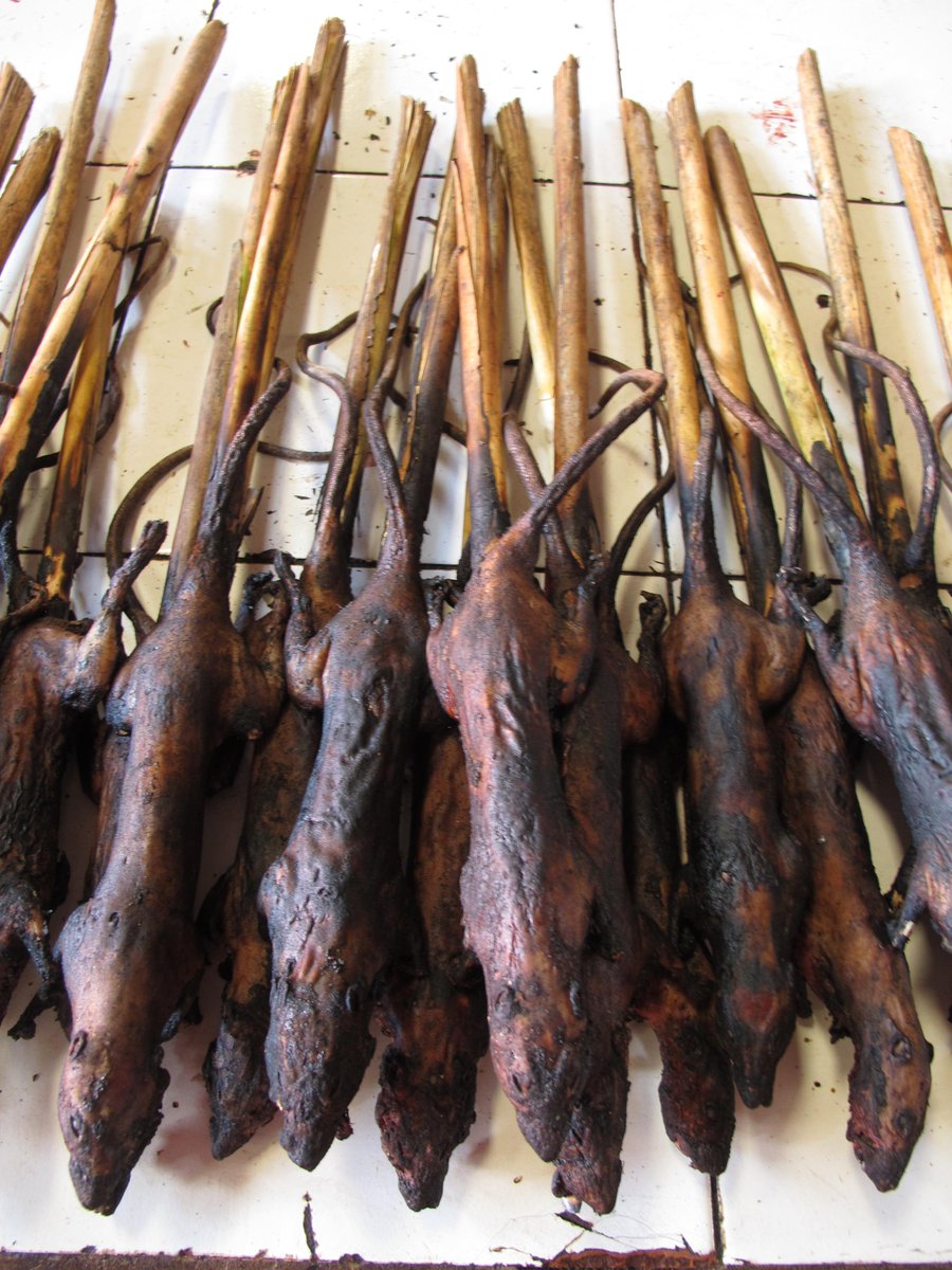 Ekstrim Foto2 Pasar Tradisional Minahasa Di Tomohon Manado