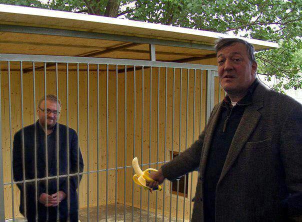 Отец Пигидий (@PadrePig) | Twitter