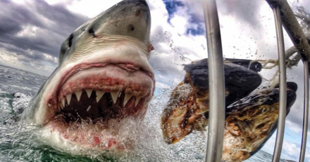 asdbuzz's tweet photo. Increíbles #fotos tomadas con una #GoPro. Galería completa: http://t.co/PPig0dZRL5 http://t.co/Pf69qfp7ql