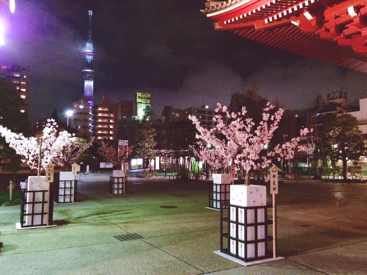 InsideJapan's tweet image. Sensoji temple &amp;amp; #Tokyo Skytree tonight as #SpringElegance starts in #Japan @experiencejapan @Visit_Japan @Muzachan