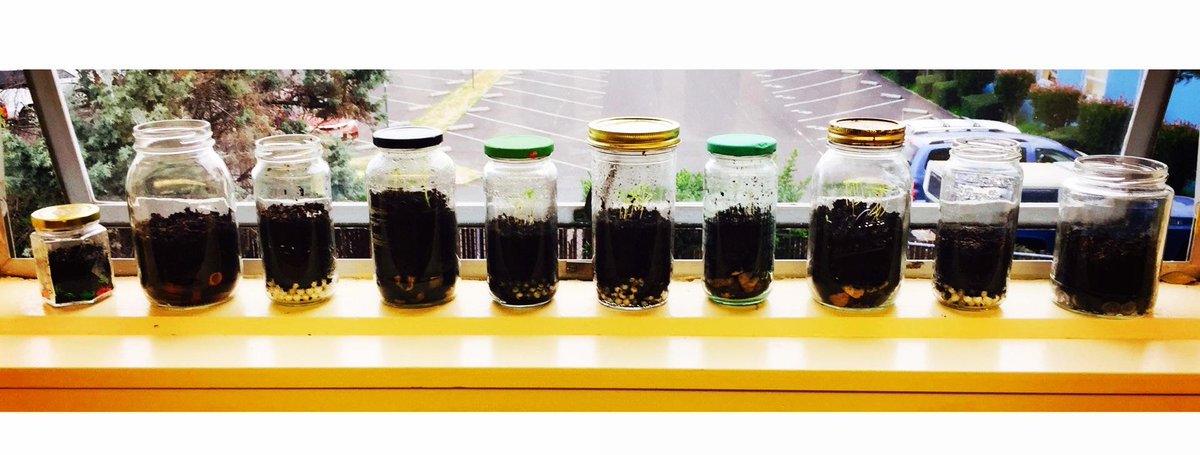 BuildaBiosphere's tweet image. Production is in full swing; Biospheres selling in the spring #MSEL #BuildaBiosphere #PlantLife