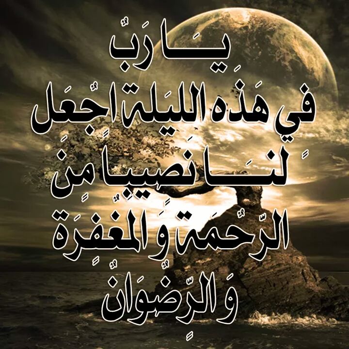 اميرة أبي (@rijahussein) on Twitter photo 