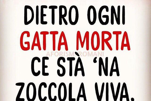 badblond's tweet image. #bellaaaaaaquestaaaa #tuttofortifica #nonproblem😂😂😂😂💪💪💪💁