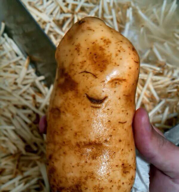 MichaelDAClarke's tweet photo. Retweet if you wish you were as photogenic as this Potato! http://t.co/VaDkzjFJlA