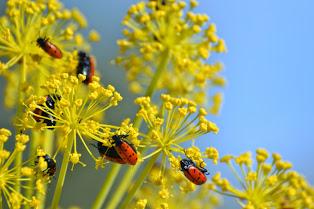 RT <a href="/LifeInfonatur/">Life+ Infonatur 2000</a>: #naturaleza #fotografia #desarrollosostenible red #natura2000