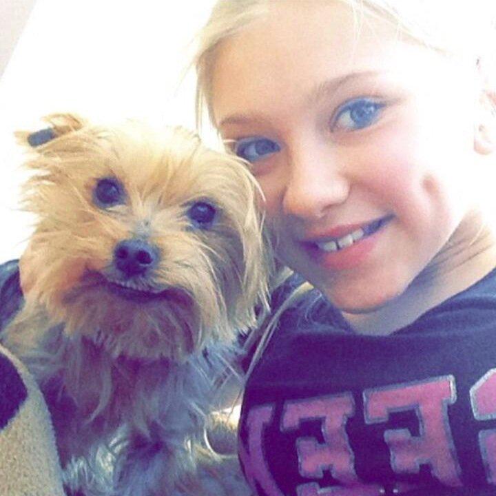 clairemramsay's tweet photo. Look @KidsCCP this is my #badheadshot for the #lisavissercomp my dog is smiling - too used to doing selfless with me! http://t.co/c4FyiApRXO