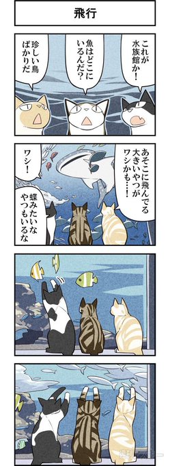 猫達が水族館を初体験! 週アスCOMIC「我々は猫である」第40回 - 週アスPLUS http://t.co/g56qcIS5Np 