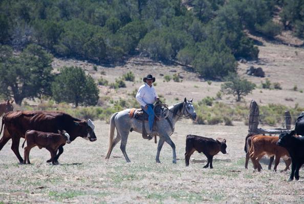 Happy Birthday to country star Kenny Chesney. How about a celebratory trip to the ranch?  