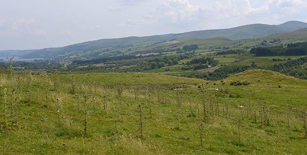 CaeauCymru's tweet photo. The last episode is repeated on @S4C at 1.30 today - another chance to visit Llanuwchllyn's fields! #caeau http://t.co/JfgLVc1KG2