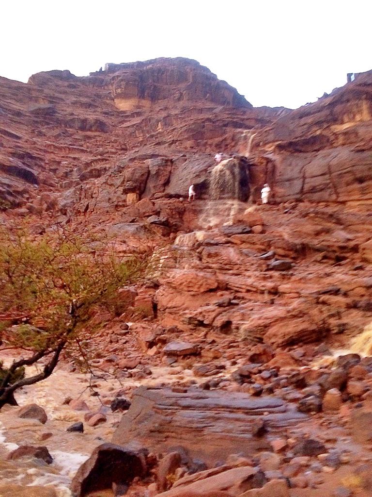 AlharethMohd's tweet photo. #عاكفة_نجران

#تصويري 

@GroupNajran
@NajranWall http://t.co/VSUQ07hWg2