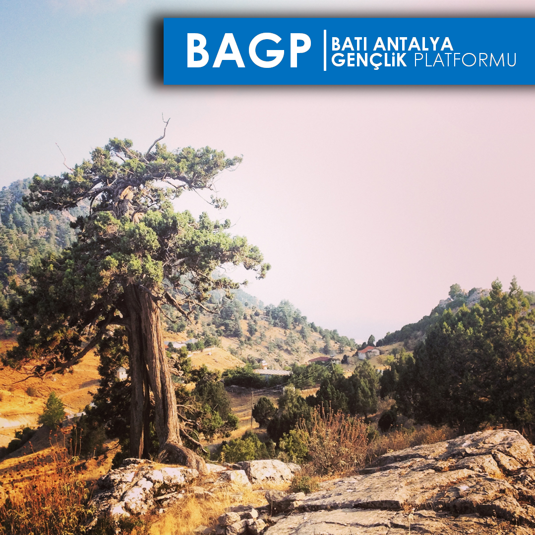 Teke'nin yaylalarından bir Ardıç :) <a href="/degirmencirfan/">irfan değirmenci</a> <a href="/mucahitkyilmaz/">M. Mücahit Küçükyılmaz🇹🇷 🇩🇿 🇦🇿</a> <a href="/v_dalmaz/">Veysel Dalmaz</a> <a href="/T_MenderesTurel/">Menderes Turel</a>