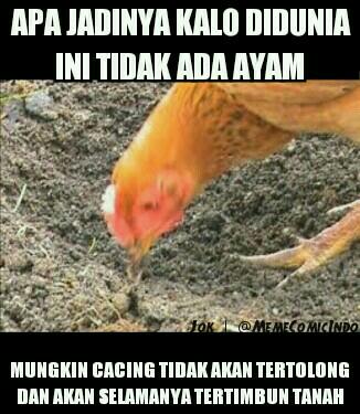 tripleK31's tweet photo. Yang kayak gini suka bikin terharu -Jok http://t.co/UTrH4hGez3