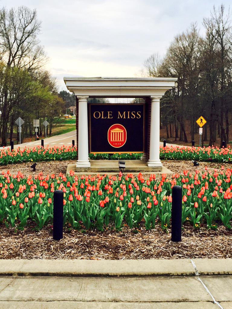 kencrain's tweet image. .The month of March in Mississippi. @OleMissRebels