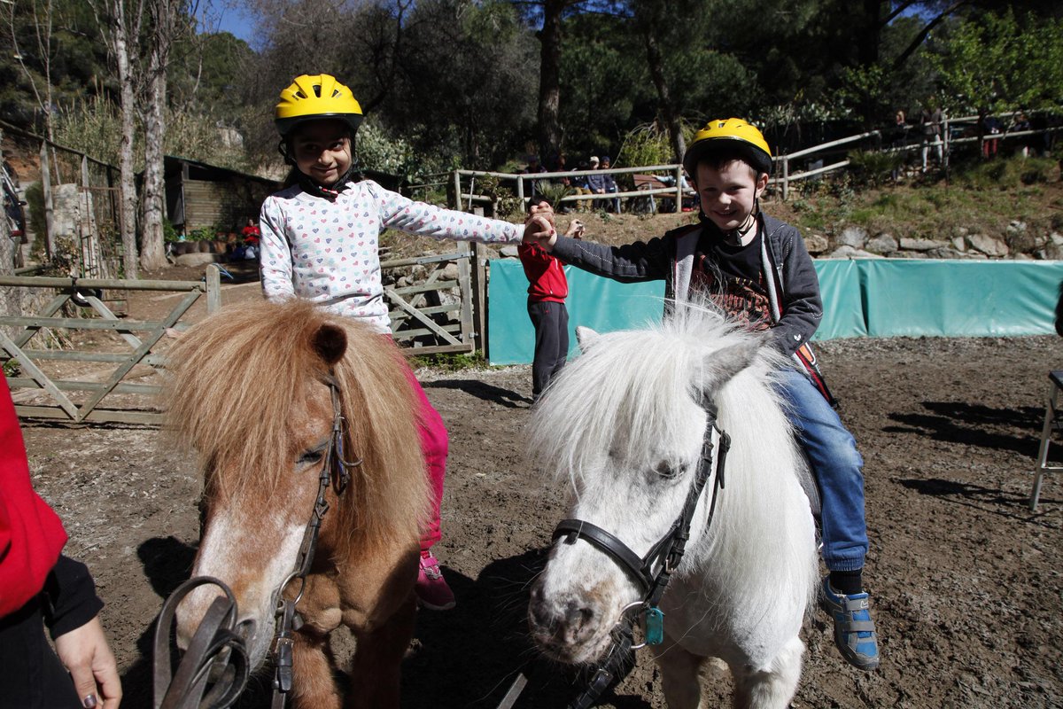 5.100 niños disfrutan del Pony Park en la Oreneta. Un proyecto de la @BarcelonaECH, en colaboración con el IBE