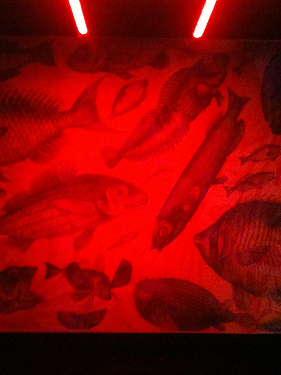 Fredooz2's tweet photo. #battlecolors ? #inspirationMW @citedessciences @palaisdecouvert Tissu magique @tweetbeauregard http://t.co/njk2y2nyhJ