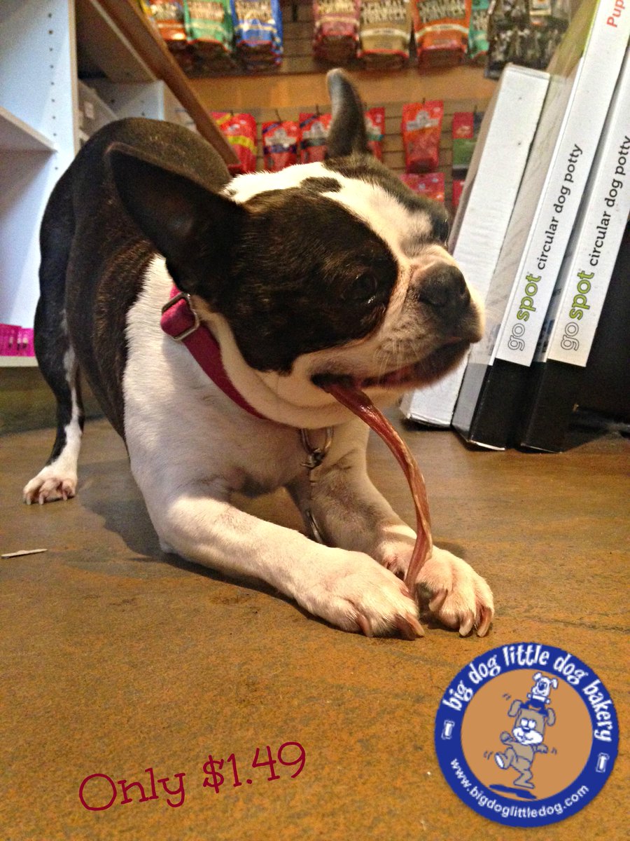 BDLDVan's tweet photo. Edie from @beerfoodvan popped by again and she says that you all need to try Barking Mad, Lamb Pizzle! Yummy chew! http://t.co/wFZcQBJqCK