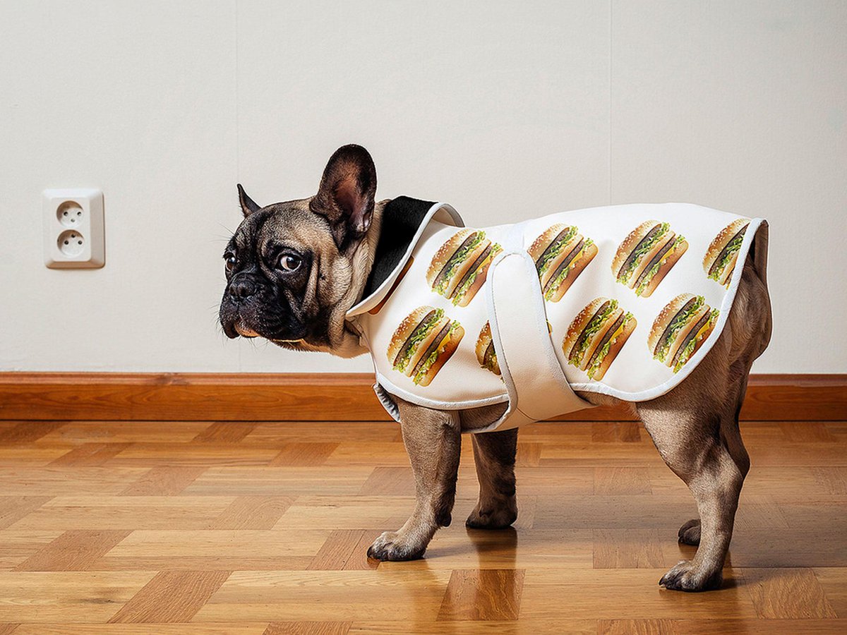 Oh my goodness! McDonald's launches clothing and homeware line using #BigMac prints ind.pn/1NdjicQ