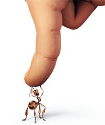 AndyMarnoch's tweet image. The weight of all the ants on Earth is about the same as the weight of all the humans. #FactOfTheDay