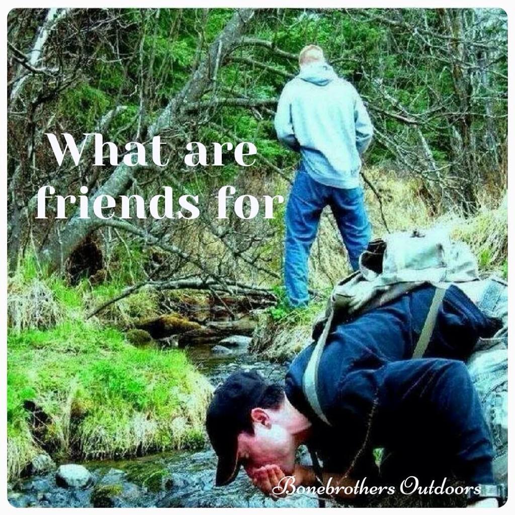 thwaacker's tweet photo. What are friends for http://t.co/7hiiTj66tF