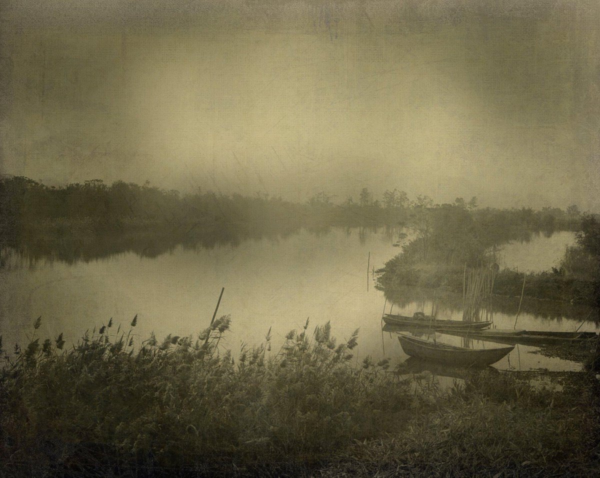 mat1215's tweet photo. #pictorialism #sinarf2 #trix400 #kodakfilm #4x5 http://t.co/EjpiTShYBM