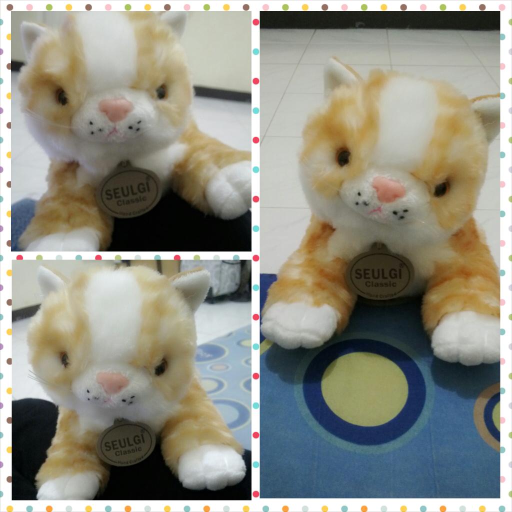 kristineeinfalt's tweet photo. Dibeliin ini ama braderr gw due to gw peluk" mulu nih boneka, pengennya sii kucing asli XD, thanks dude @fajebLues :p http://t.co/DnGa1ljCIz
