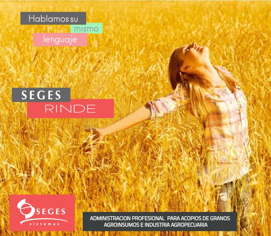 SEGESSISTEMAS's tweet image. 