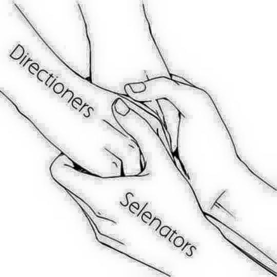 psvtshine's tweet image. #SelenatorsAreHereForDirectioners #Selenator #SelenatorsHelpDirectioners #Selenators✨😔