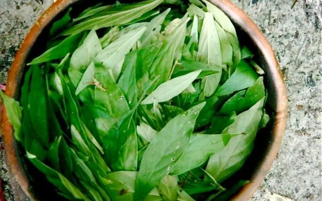 BankSlaves's tweet photo. Chemical Found In Ayahuasca May Be Able To Completely Reverse Diabetes -> http://t.co/AvLdzldCrQ http://t.co/TVoT35QXIJ