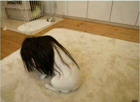 OMG!!
