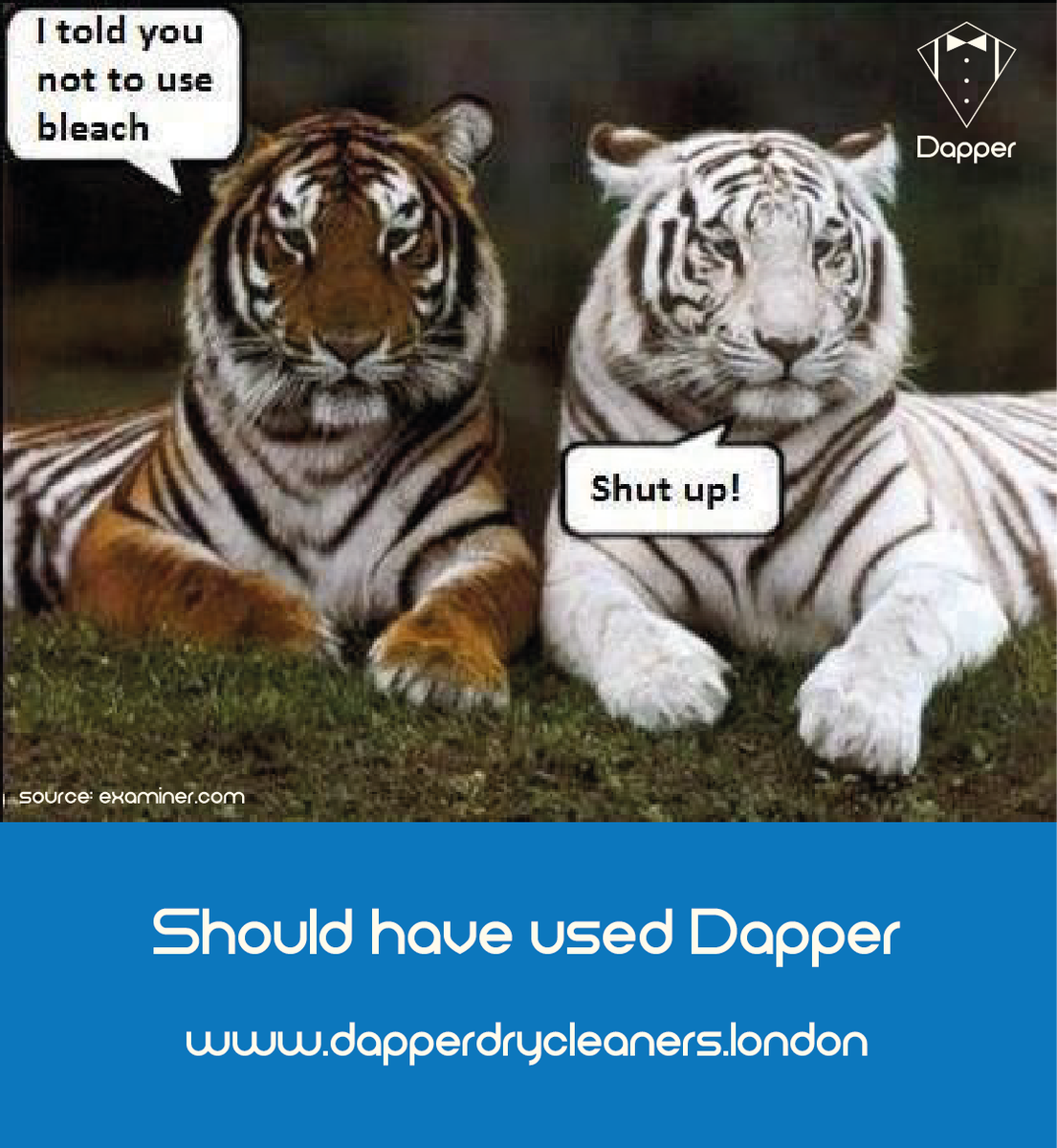 Охотник на тигров книга. Два тигра читать. Тетрадь с тигром. Книга думай как тигр. Амурский и бенгальский тигр.